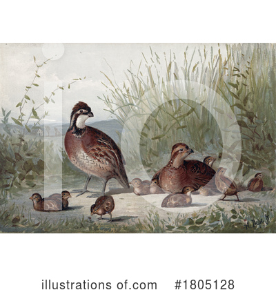 Royalty-Free (RF) Bird Clipart Illustration by JVPD - Stock Sample #1805128