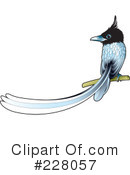 Bird Clipart #228057 by Lal Perera