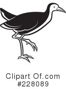 Bird Clipart #228089 by Lal Perera