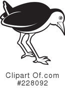 Bird Clipart #228092 by Lal Perera