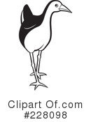 Bird Clipart #228098 by Lal Perera