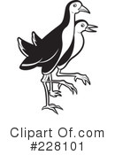 Bird Clipart #228101 by Lal Perera
