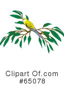 Bird Clipart #65078 by Dennis Holmes Designs