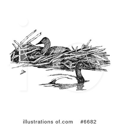 Royalty-Free (RF) Bird Clipart Illustration by JVPD - Stock Sample #6682