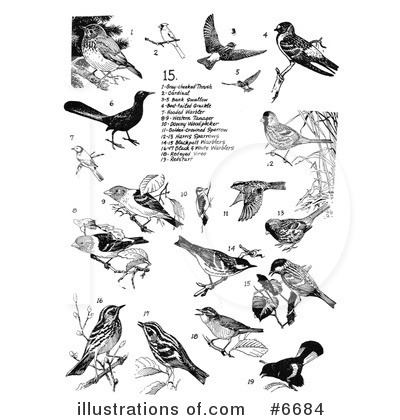 Royalty-Free (RF) Bird Clipart Illustration by JVPD - Stock Sample #6684
