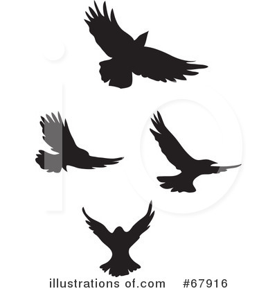 Royalty-Free (RF) Bird Clipart Illustration by Rosie Piter - Stock Sample #67916