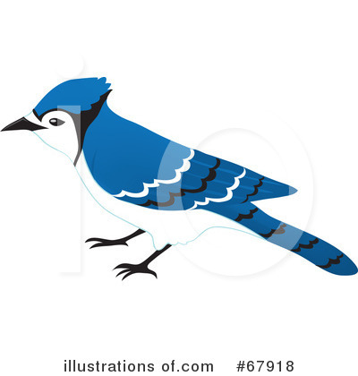 Royalty-Free (RF) Bird Clipart Illustration by Rosie Piter - Stock Sample #67918