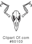 Bird Skull Clipart #60103 by xunantunich