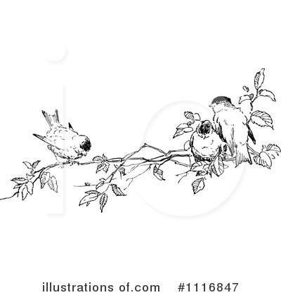 Royalty-Free (RF) Birds Clipart Illustration by Prawny Vintage - Stock Sample #1116847