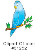 royalty-free-birds-clipart-illustration-31252tn.jpg