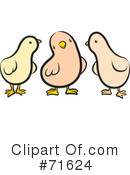 Birds Clipart #71624 by Lal Perera