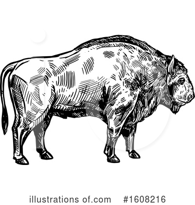 Royalty-Free (RF) Bison Clipart Illustration by Vector Tradition SM - Stock Sample #1608216