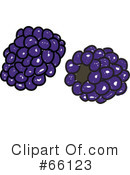 Blackberries Clipart #66123 by Prawny