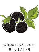Blackberry Clipart #1317174 by Vector Tradition SM
