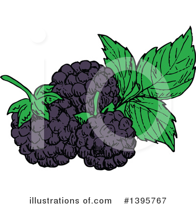 Royalty-Free (RF) Blackberry Clipart Illustration by Vector Tradition SM - Stock Sample #1395767