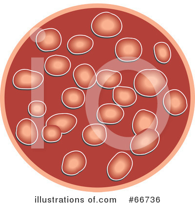 Royalty-Free (RF) Blood Cells Clipart Illustration by Prawny - Stock Sample #66736