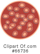 Blood Cells Clipart #66736 by Prawny
