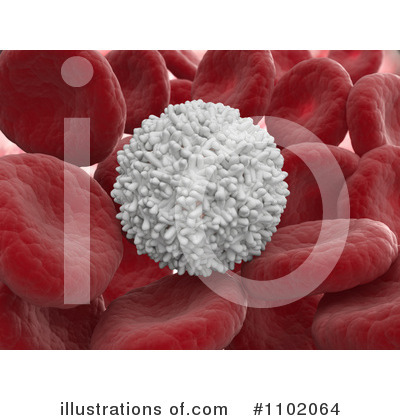 Blood Cell Clipart #1102064 by Mopic