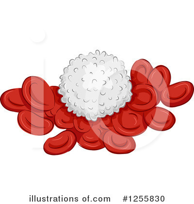 Blood Cells Clipart #1255830 by BNP Design Studio