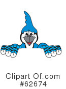 Blue Jay Mascot Clipart #62674 by Toons4Biz