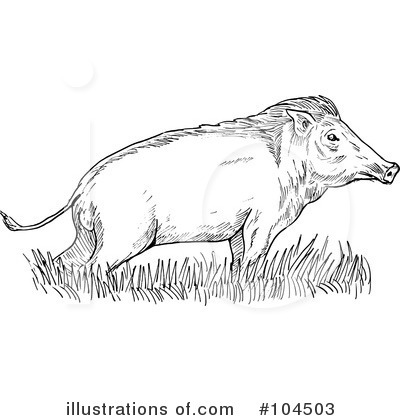 Royalty-Free (RF) Boar Clipart Illustration by patrimonio - Stock Sample #104503