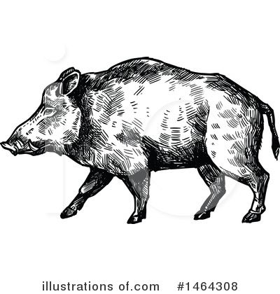 Royalty-Free (RF) Boar Clipart Illustration by Vector Tradition SM - Stock Sample #1464308