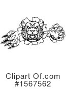 Bobcat Clipart #1567562 by AtStockIllustration