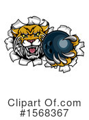 Bobcat Clipart #1568367 by AtStockIllustration