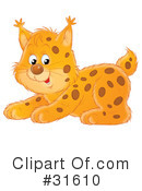 Bobcat Clipart #31610 by Alex Bannykh