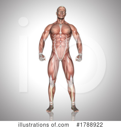 Royalty-Free (RF) Body Clipart Illustration by KJ Pargeter - Stock Sample #1788922