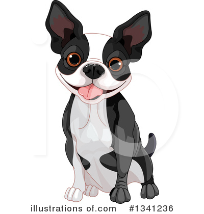 Boston Terrier Clipart #1341236 by Pushkin