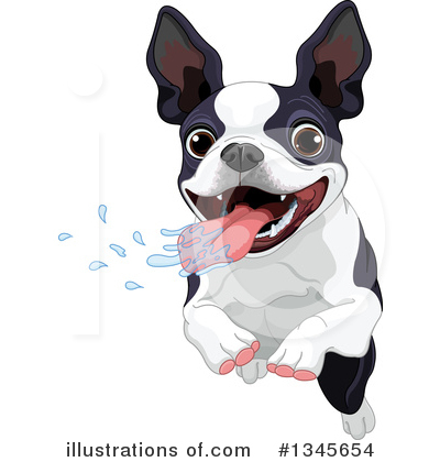 Boston Terrier Clipart #1345654 by Pushkin