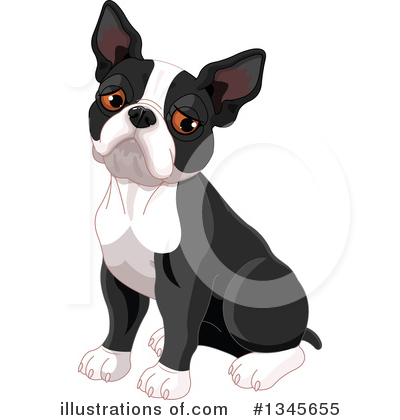 Boston Terrier Clipart #1345655 by Pushkin