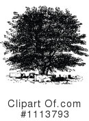 Botanical Clipart #1113793 by Prawny Vintage