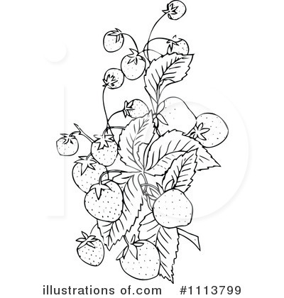 Royalty-Free (RF) Botanical Clipart Illustration by Prawny Vintage - Stock Sample #1113799