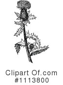 Botanical Clipart #1113800 by Prawny Vintage