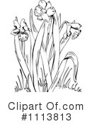 Botanical Clipart #1113813 by Prawny Vintage