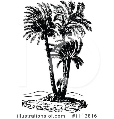 Royalty-Free (RF) Botanical Clipart Illustration by Prawny Vintage - Stock Sample #1113816