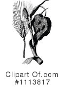 Botanical Clipart #1113817 by Prawny Vintage
