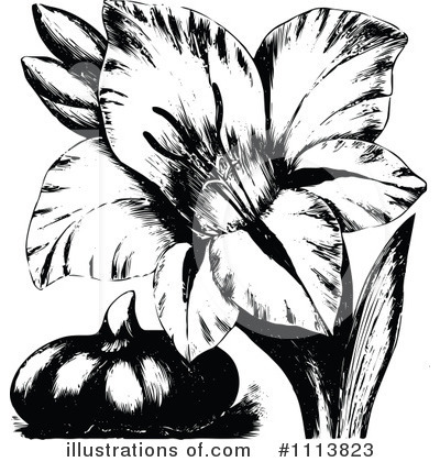 Botanical Clipart #1113823 by Prawny Vintage