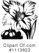Botanical Clipart #1113823 by Prawny Vintage