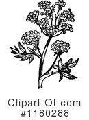 Botanical Clipart #1180288 by Prawny Vintage