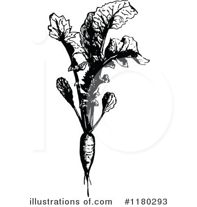 Royalty-Free (RF) Botanical Clipart Illustration by Prawny Vintage - Stock Sample #1180293