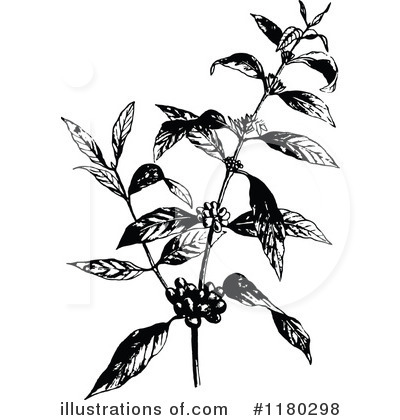 Royalty-Free (RF) Botanical Clipart Illustration by Prawny Vintage - Stock Sample #1180298