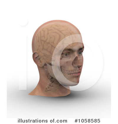 Royalty-Free (RF) Brain Clipart Illustration by Michael Schmeling - Stock Sample #1058585
