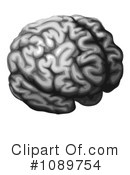 Brain Clipart #1089754 by AtStockIllustration