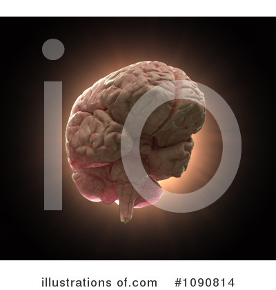 Royalty-Free (RF) Brain Clipart Illustration by Mopic - Stock Sample #1090814