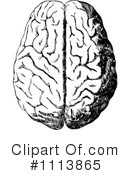 Brain Clipart #1113865 by Prawny Vintage
