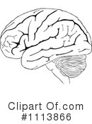 Brain Clipart #1113866 by Prawny Vintage