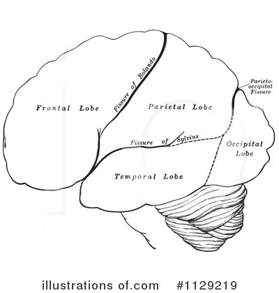 Royalty-Free (RF) Brain Clipart Illustration by Picsburg - Stock Sample #1129219